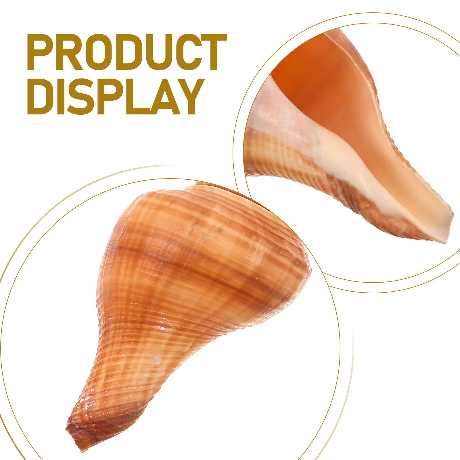 5Pcs Natural Conch Shell Whist – Emergency Whistle Loud Bewertung und Preis